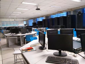 計算機網絡技術 構建數字時代的核心基石